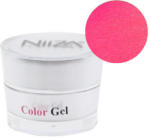  NiiZA ColorGel #25