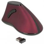 Delock Ergonomic wireless (12528) Mouse