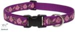 Lupine Pet nyakörv (Rose Garden 2, 5 cm széles 41-71 cm) (WLF85253)