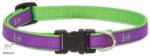 Lupine Pet nyakörv (CLUB Hampton Purple 1, 25 cm széles 25-41 cm) (CBS90335)