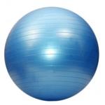 Dayu Fitness Minge de aerobic pentru sala 55cm DY-GB-070-55 Minge fitness