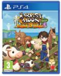 Rising Star Games Harvest Moon Light of Hope [Special Edition] (PS4)