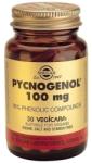 Solgar Хранителна добавка антиоксидант Пикногенол 100 мг , Solgar Pycnogenol 100mg 30 Veg. Caps Antioxidant