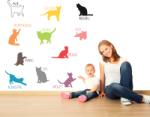 BeKid Sticker decorativ Pisicutele ne invata - 70 x 59 cm