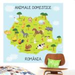 BeKid Fototapet Animale Domestice - 200 x 200 cm