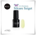 Silcare Color It! Premium 1760#