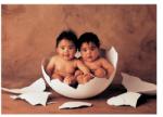 Educa Double Yolker - Anne Geddes sorozat 500 db-os (11766)