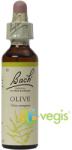 Bach Originals Flower Remedies Bach 23 Olive (Maslin) Picaturi 20ml