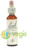 Bach Originals Flower Remedies Bach 37 Wild Rose (Maces) Picaturi 20ml