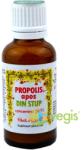 Prisaca Transilvania Propolis Apos Fara Alcool 30ml