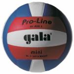Gala Pro Line Mini libero röplabda, 4-es röplabda