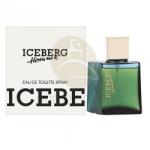Iceberg Homme 1991 EDT 100ml Parfum