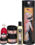 Shunga Carnal Pleasures Collection
