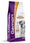 Gemon Regular All Breeds Adult with Chicken and Rice száraz kutyatáp 20 kg