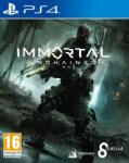 Toadman Interactive Immortal Unchained (PS4)