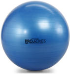 Thera-Band ProSeries Premium Gymnastic Ball 75 cm (TH_12045) Minge fitness