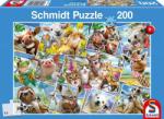 Schmidt Spiele Animal Selfies 200 db-os (56294)