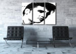  Kézzel festett POP Art festmény ELVIS 3 darab el | különböző méretek