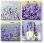  Falfestés COLLAGE 4 részes XOBKOL06E42