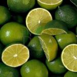 sodasan Detergent bio pentru rufe albe și colorate cu lime Sodasan 15-l