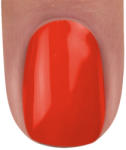 BRILLBIRD Brush&Go színes zselé - GO 29 - 4, 5ml