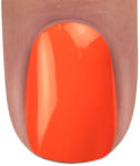 BRILLBIRD Brush&Go színes zselé - GO 16 - 4, 5ml