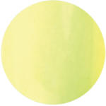 BRILLBIRD Brush&Go színes zselé - GO 57 - 4, 5ml