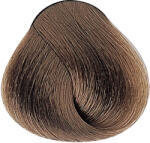 ALFAPARF Milano Evolution of the Color hajfesték - 8NB 60ml