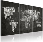 Artgeist Kép - falitérkép - Map of the World (spanyol nyelvű) - triptych 120x80