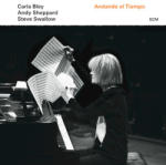 ECM Carla Bley, Andy Sheppard, Steve Swallow: Andando El Tiempo