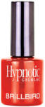 BrillBird Hypnotic gel&Lac 4ml 63