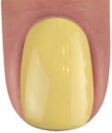 BrillBird Color gél lakk C62 - 15ml