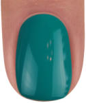 BrillBird Color gél lakk C65 - 15ml