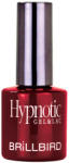 BrillBird Hypnotic gel&Lac 4ml 66