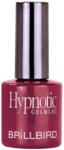 BrillBird Hypnotic gel&Lac 4ml 61