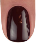BrillBird Color gél lakk C67 - 5ml