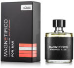 Magnetifico Pheromone Allure For Men 50ml