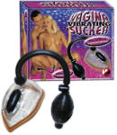 You2Toys Vibrating Vagina Sucker
