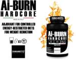 Yamamoto Ai Burn Hardcore capsule 240 buc