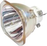 NEC NP26LP (100013748) lampă originală fără modul (NP26LP)