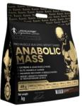 Kevin Levrone Signature Series Anabolic Mass 3000 g