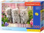 Castorland Három szürke kiscica 300 db-os (B-030330)