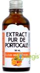 Cloud Nine Factory Extract Pur de Portocale 50ml