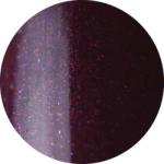 Brillbird Brush&Go színes zselé - GO 91 - 4, 5ml TF