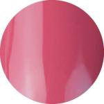 BRILLBIRD Brush&Go színes zselé - GO 94 - 4, 5ml
