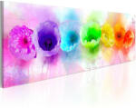 Artgeist Kép - Rainbow-hued poppies 120x40