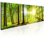 Artgeist Kép - Majestic Trees 135x45