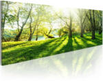 Artgeist Kép - Rays of Sunshine 135x45
