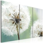Artgeist Kép - Fluffy dandelions 120x80