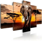 Artgeist Kép - Elephant Migration 100x50
